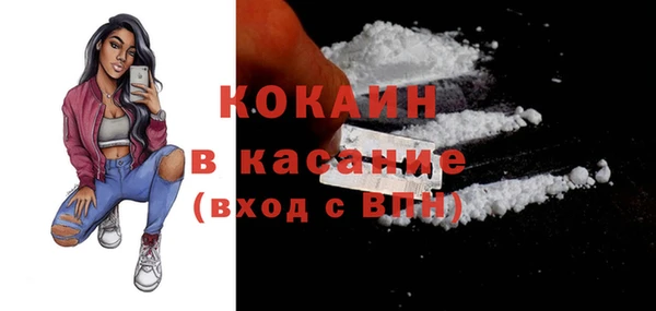прущая мука Пересвет