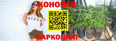 стаф Бузулук