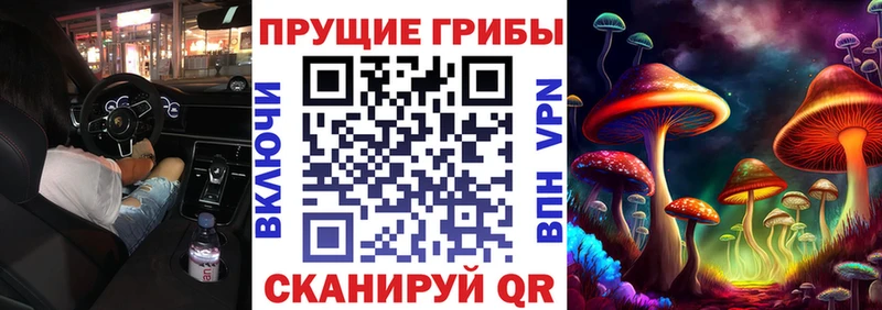 Галлюциногенные грибы Psilocybine cubensis Севастополь