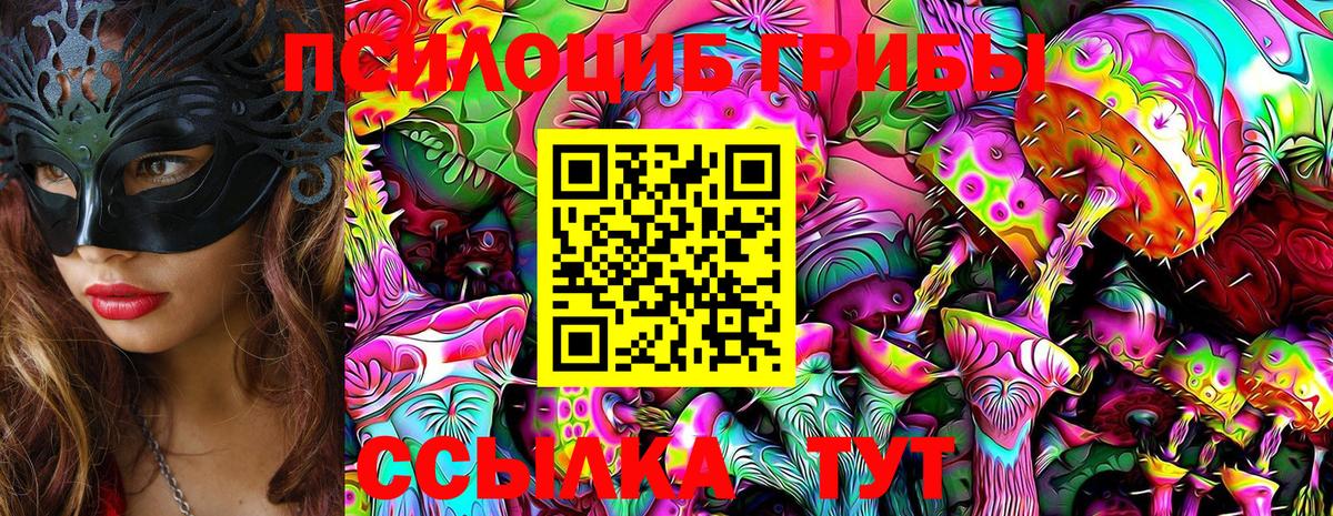 Галлюциногенные грибы прущие грибы  сколько стоит  Севастополь 