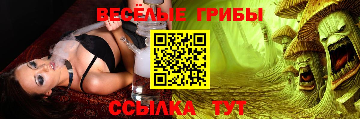 Псилоцибиновые грибы мицелий Севастополь