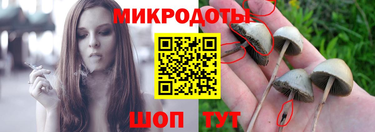 Псилоцибиновые грибы MAGIC MUSHROOMS  Псилоцибиновые грибы GOLDEN TEACHER  Вход с VPN  Севастополь 